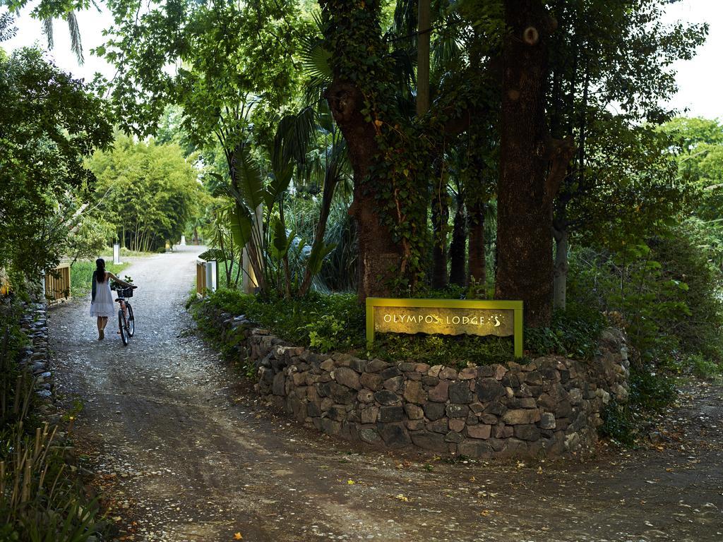 Olympos Lodge Çıralı Exterior foto